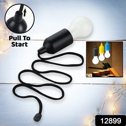 LED Pull Cord Light â€“ Hanging Black LED Bulb (1 Pc)