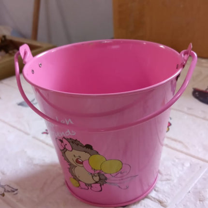 Small Metal Bucket for Plants & Decor (1 Pc, With Handle)